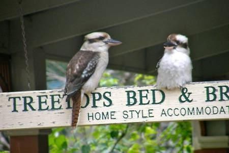 Treetops Bed & Breakfast Blackburn Экстерьер фото